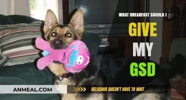 Nutritious Breakfast Ideas for Your German Shepherd's Optimal Health
