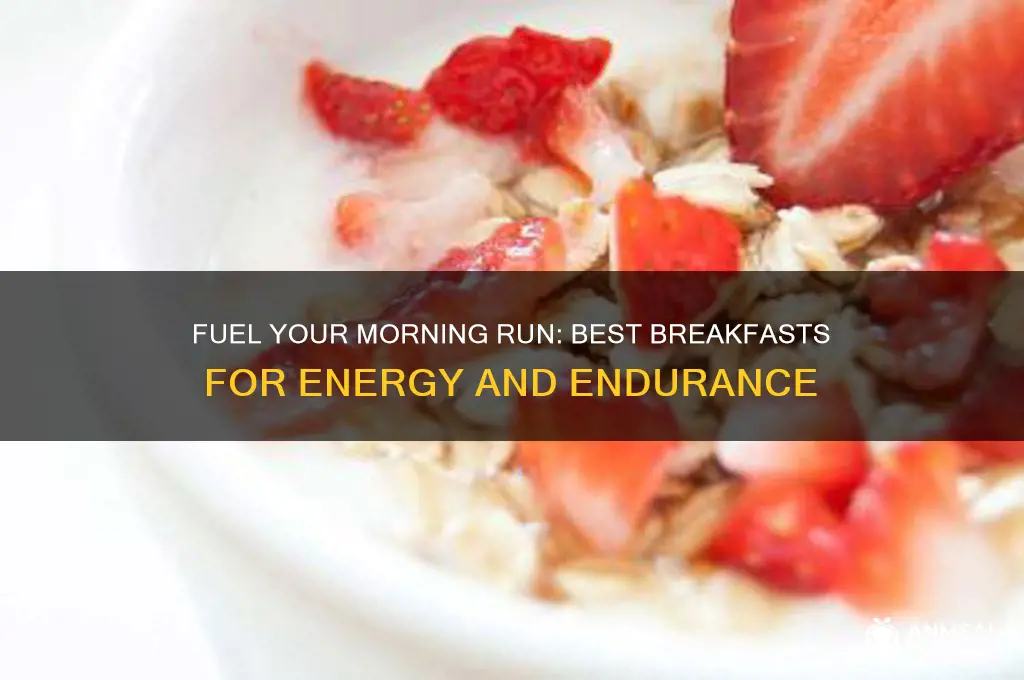 what breakfast to have for running in the morning