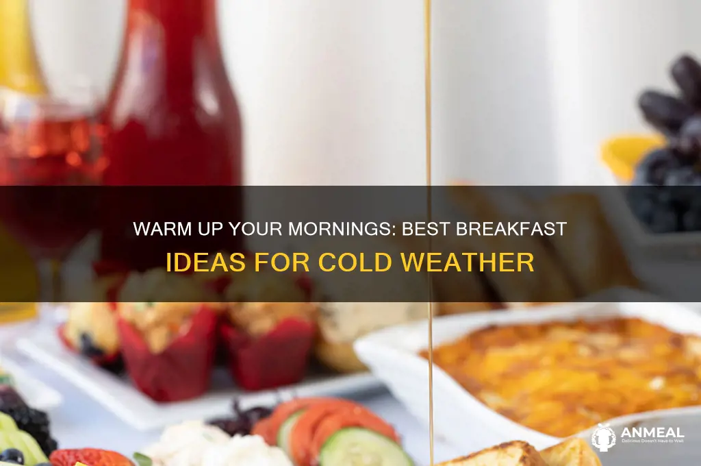 what breakfast to have in cold