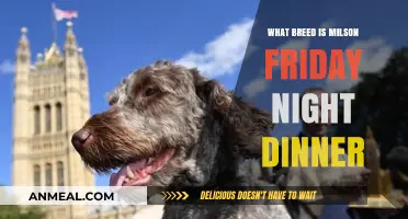 Unveiling Milson's Breed: A Friday Night Dinner Mystery Explored