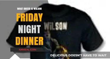 Unveiling Wilson's Breed: Friday Night Dinner's Canine Star Explored