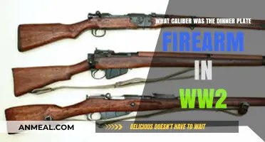 Unveiling the WW2 Dinner Plate Firearm's Caliber Mystery