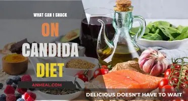 Healthy Snacking Options for a Candida Diet