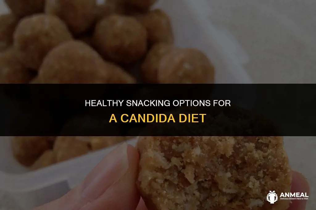 what can i snack on candida diet