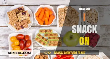Delicious and Nutritious: Snack Ideas for Every Craving