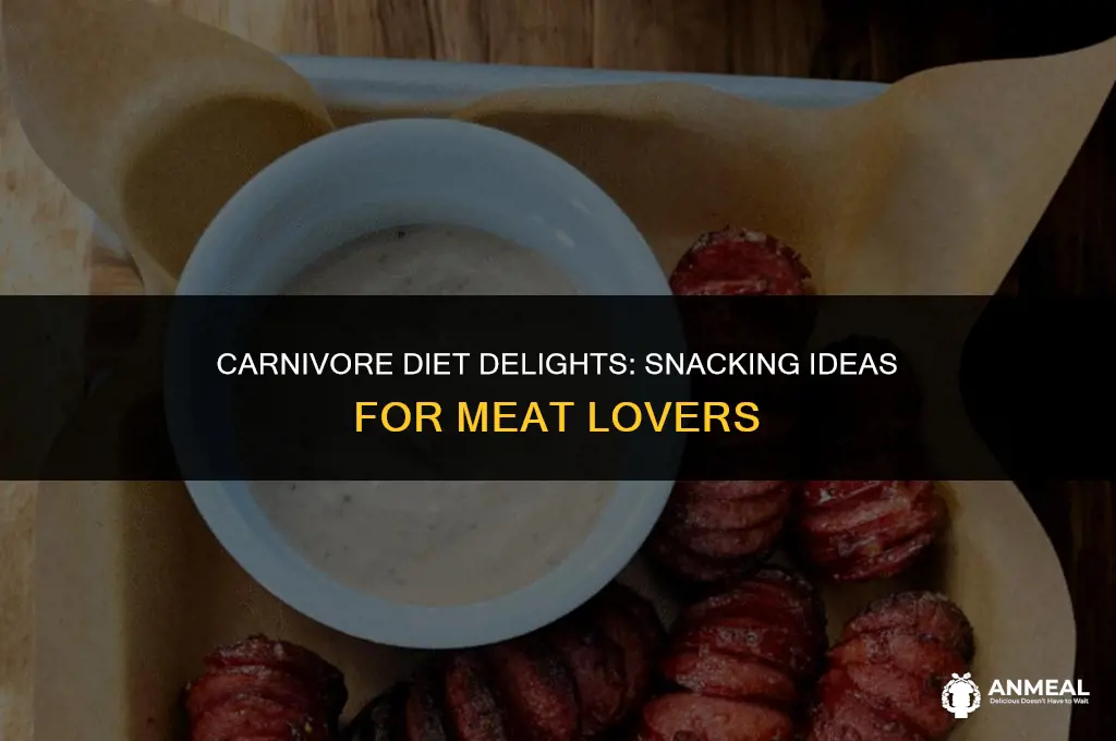 what can you snack on on the carnivore diet