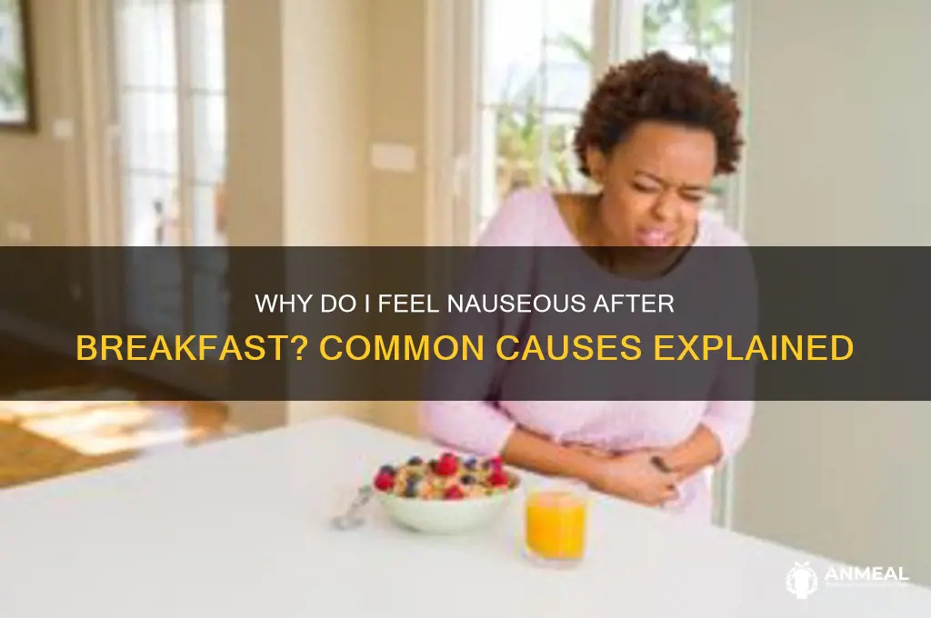 what causes after breakfast nausea