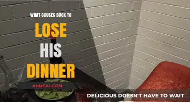 Why Buck Loses His Dinner: Uncovering the Surprising Causes