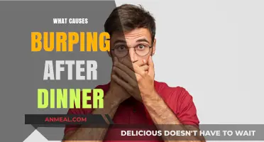 Why Do You Burp After Dinner? Common Causes Explained
