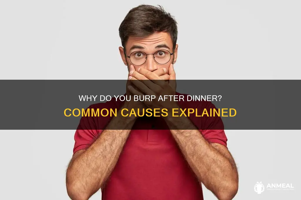 what causes burping after dinner
