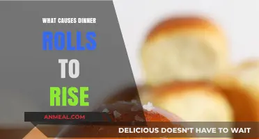Unveiling the Secrets: What Causes Dinner Rolls to Rise Perfectly