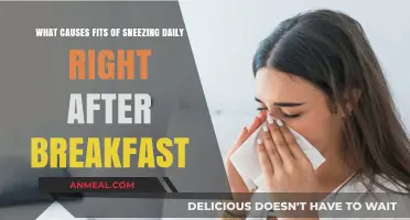 Daily Post-Breakfast Sneezing Fits: Uncovering the Surprising Triggers and Causes