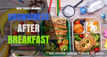 Why Breakfast Leaves You Tired: Unraveling Morning Drowsiness Causes