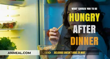 Why Do You Feel Hungry After Dinner? Exploring Post-Meal Cravings