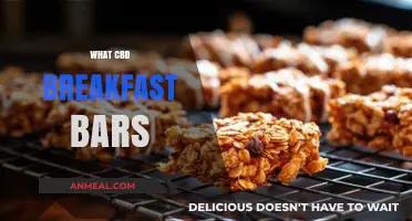 CBD Breakfast Bars: Energize Your Morning with Healthy Hemp Snacks