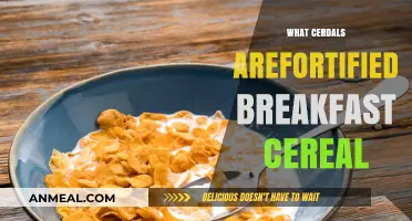 Fortified Breakfast Cereals: Nutritional Benefits and Top Choices Explained