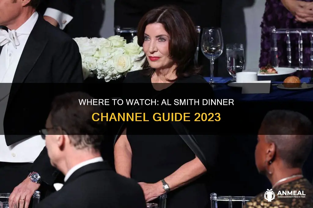 what channel is al smith dinner on