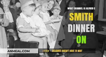 Where to Watch the Alfred E. Smith Dinner: TV Channel Guide