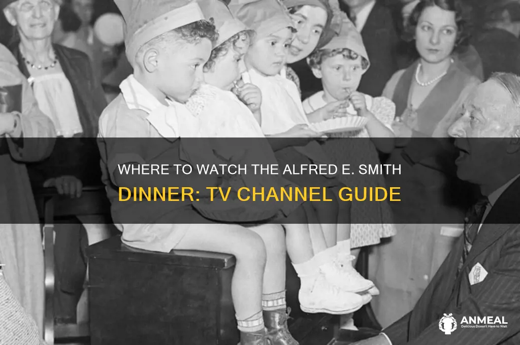 what channel is alfred e smith dinner on