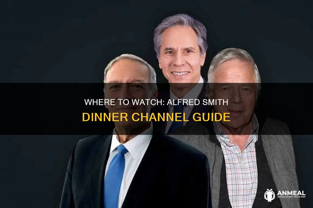 what channel is alfred smith dinner