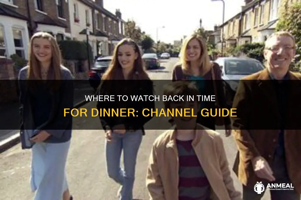 what channel is back in time for dinner on