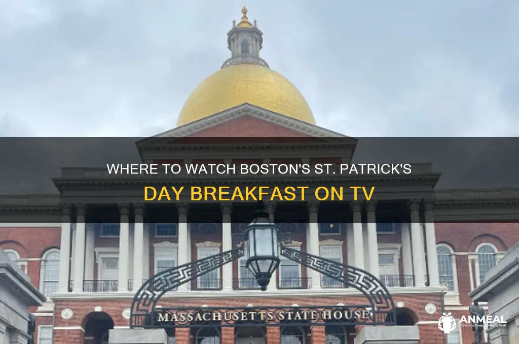 what channel is boston st paddys day breakfast on