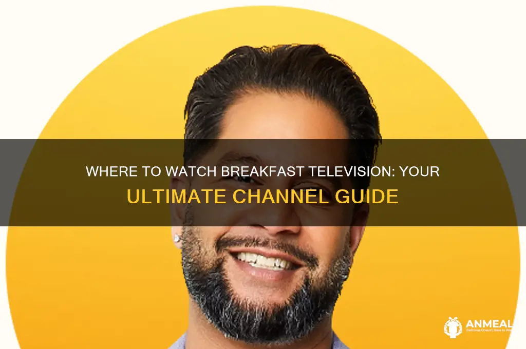what channel is breakfast television on