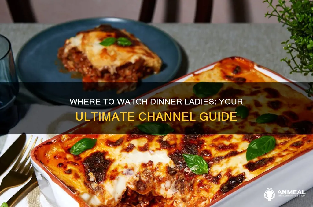 what channel is dinner ladies on