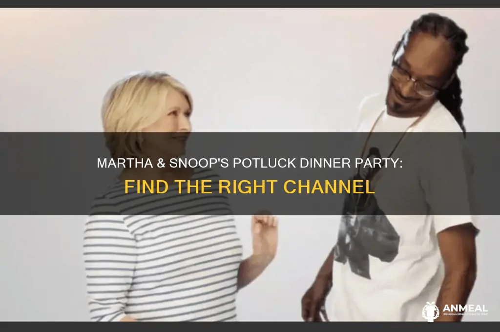what channel is martha and snoop