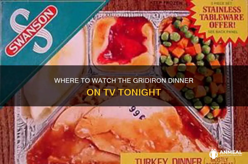 what channel is the gridiron dinner on tv