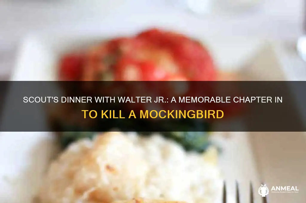 what chapter did scout have dinner with walter jr