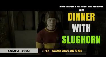 Harry and Hermione's Dinner with Slughorn: Chapter Revealed