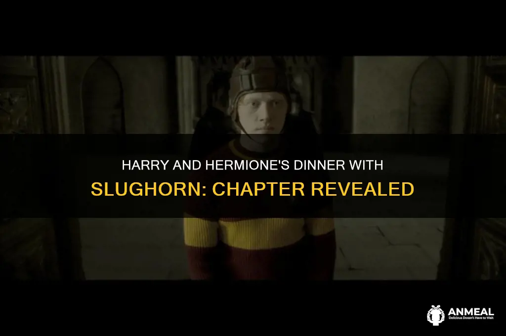 what chapter does harry and hermione have dinner with slughorn