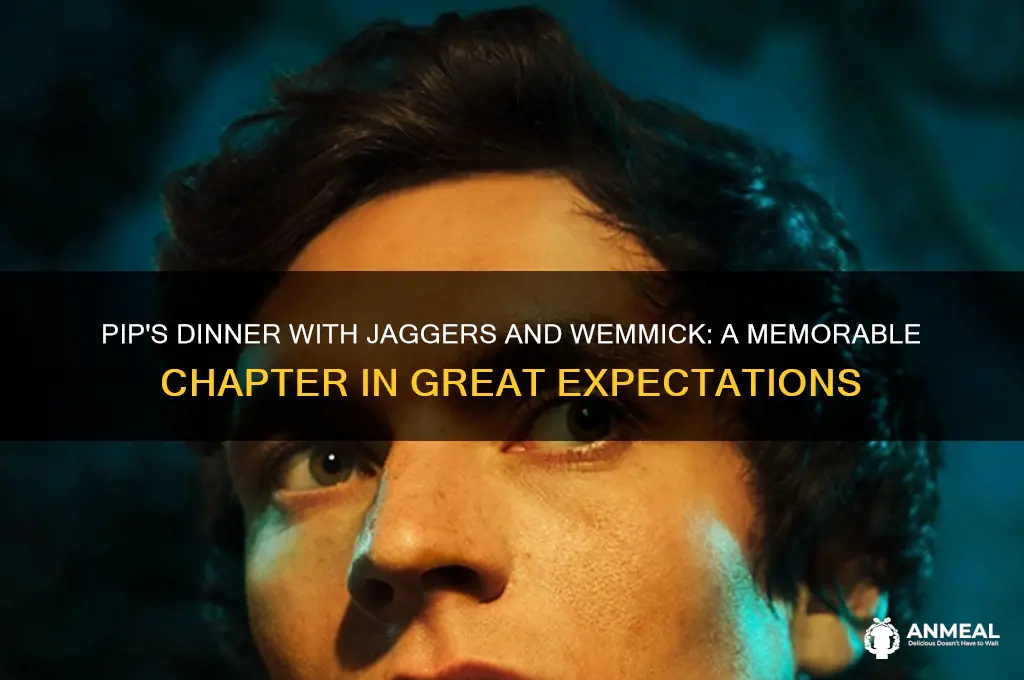 what chapter does jaggers pip and wemmick have dinner