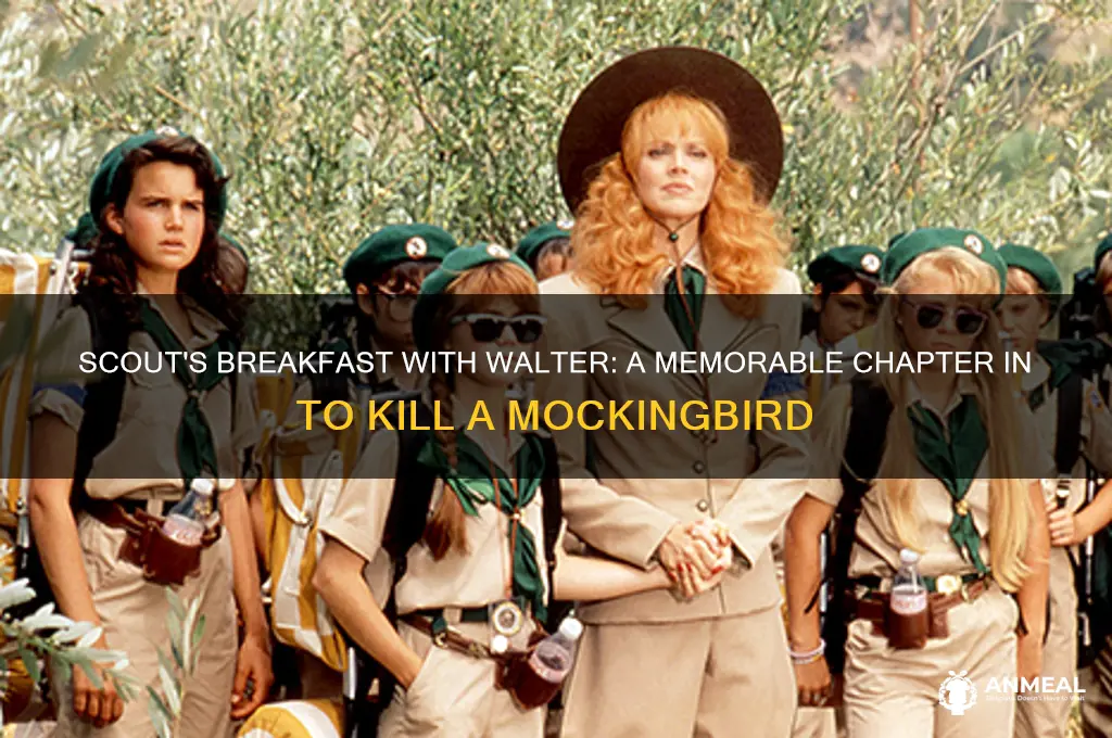 what chapter does scout have breakfast with walter over
