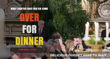Walter's Dinner Visit: Unraveling the Chapter in the Story
