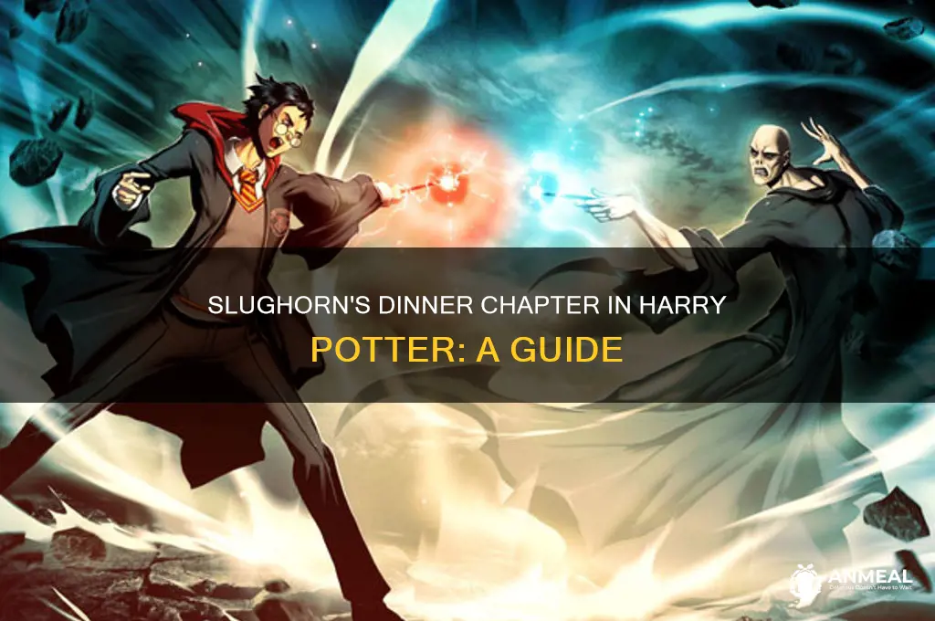 what chapter is slughorn
