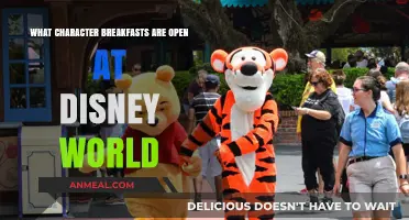 Disney World Character Breakfasts: Open Dining Experiences to Enjoy
