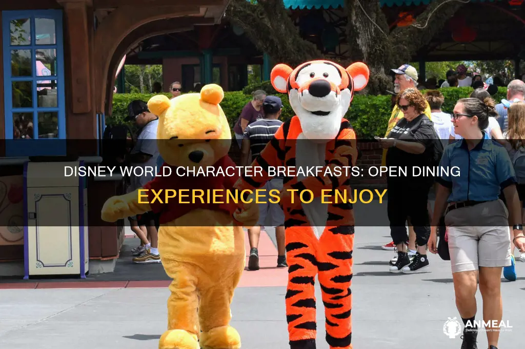 what character breakfasts are open at disney world