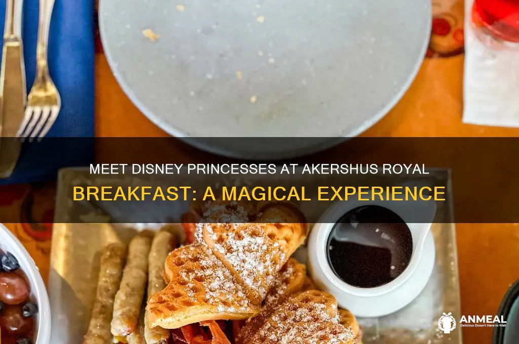what characters are at akershus breakfast