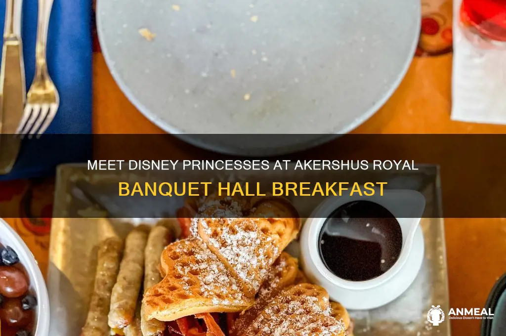what characters are at akershus royal banquet hall breakfast