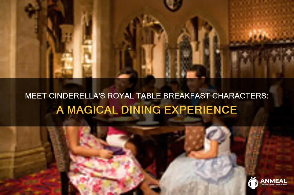 what characters are at cinderella