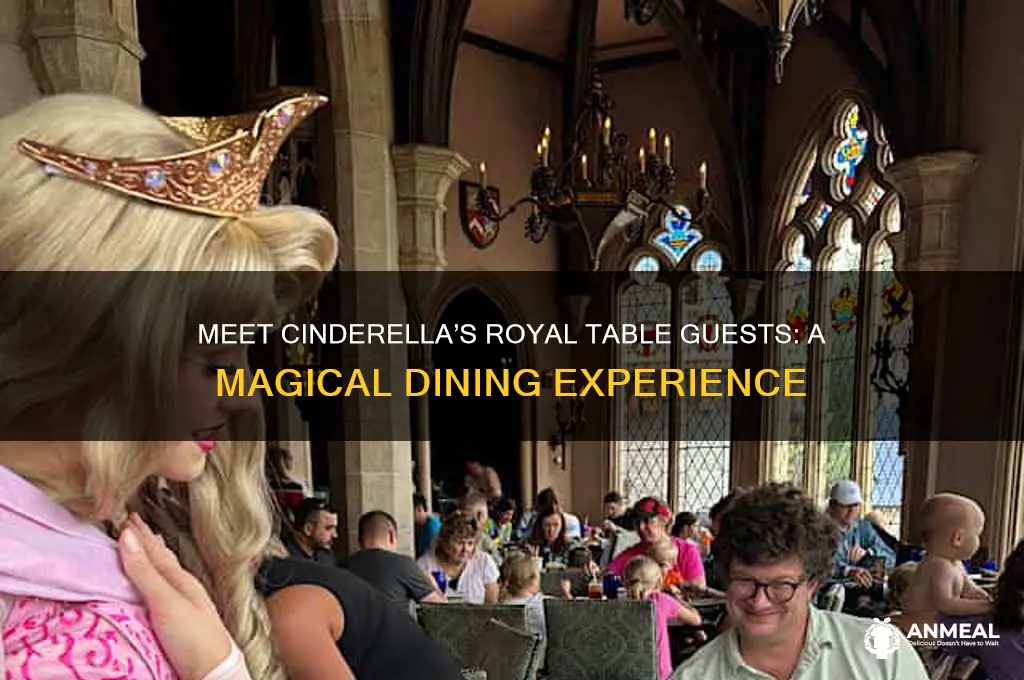 what characters are at cinderella