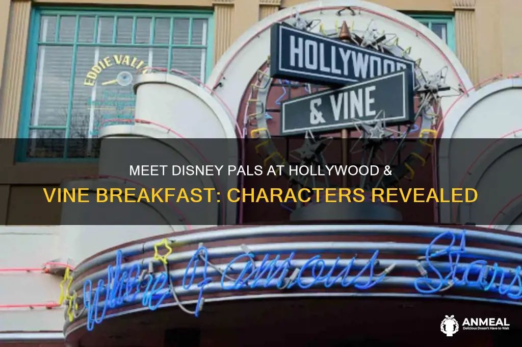 what characters are at hollywood and vine breakfast