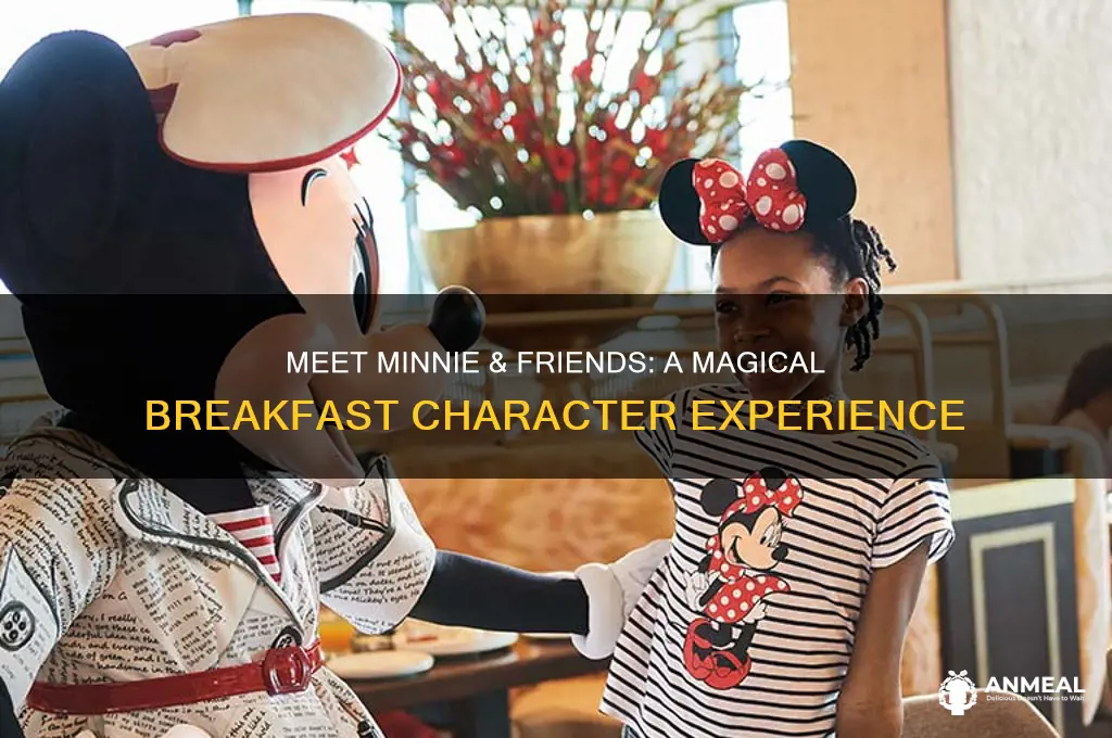 what characters are at minnie and friends breakfast