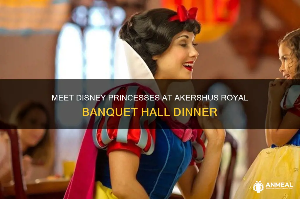 what characters at akershus royal banquet hall dinner