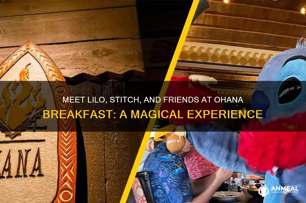 what characters at ohana breakfast