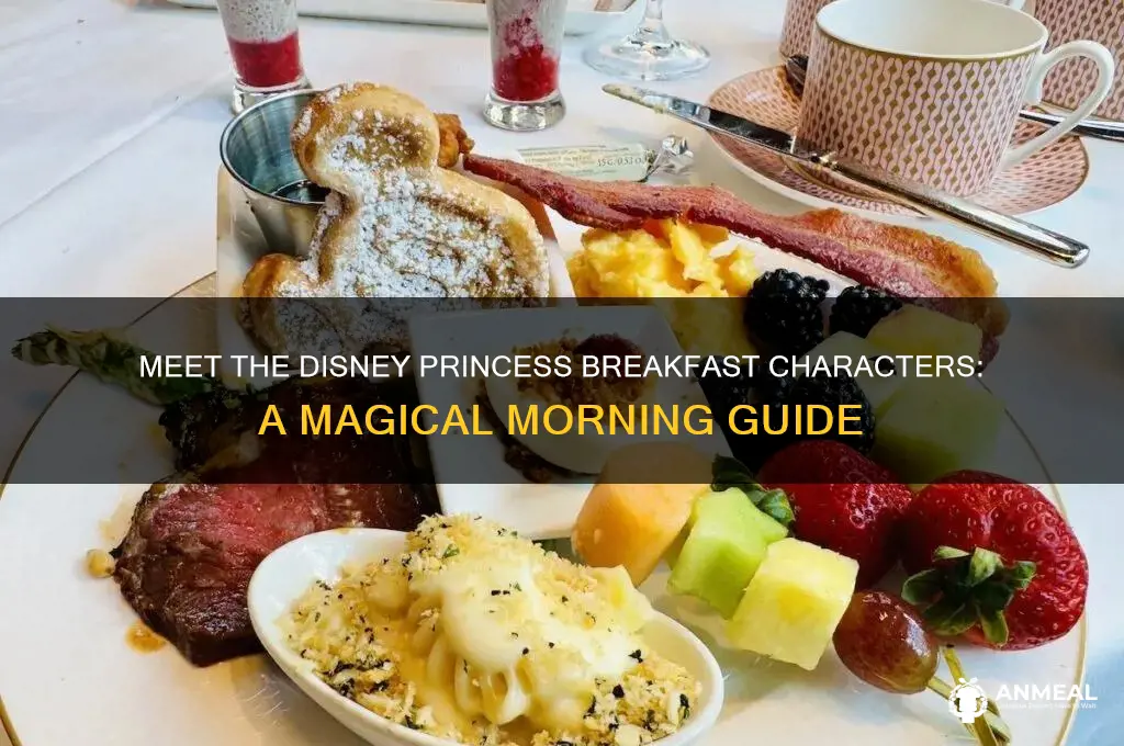 what characters attend princess breakfast at disney