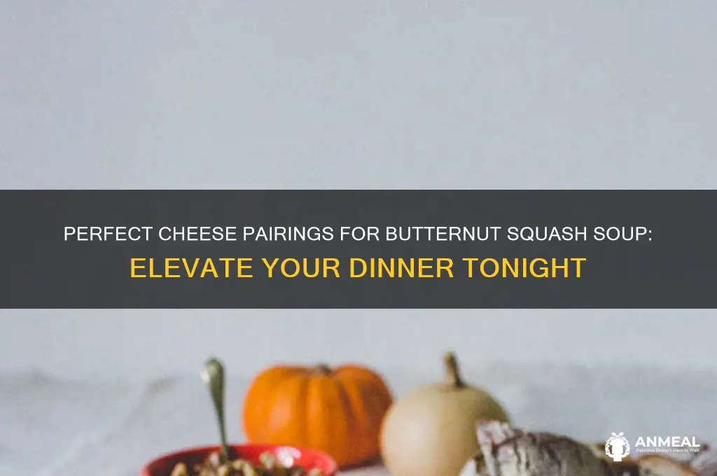 what cheese goes with butternut squash soup for dinner
