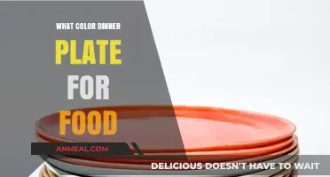 Choosing the Perfect Dinner Plate Color to Enhance Your Food Presentation